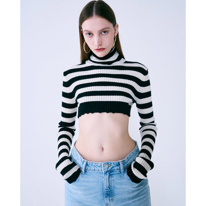 Mardi Mercredi - Cashmere Blended Cropped Turtle Neck Stripe