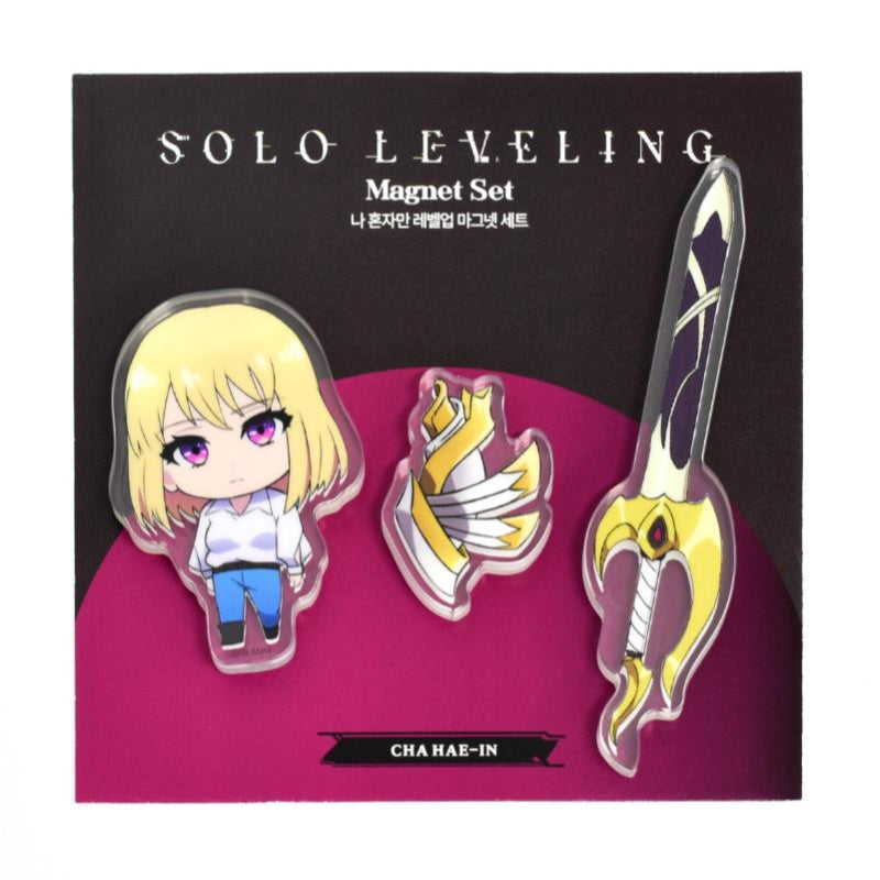 Solo Leveling - Acrylic Magnet Set