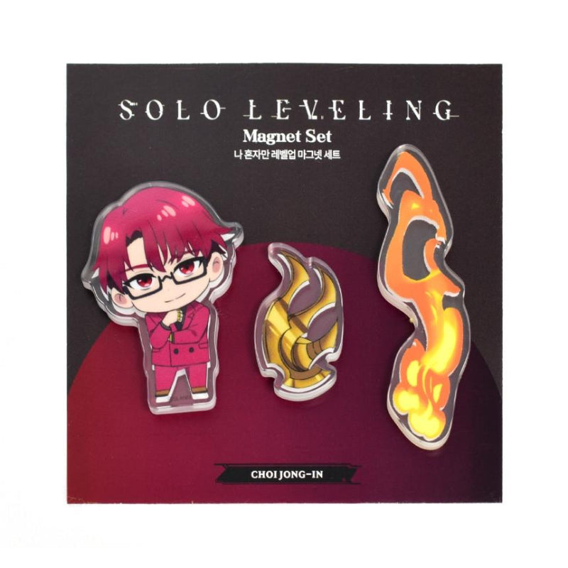 Solo Leveling - Acrylic Magnet Set