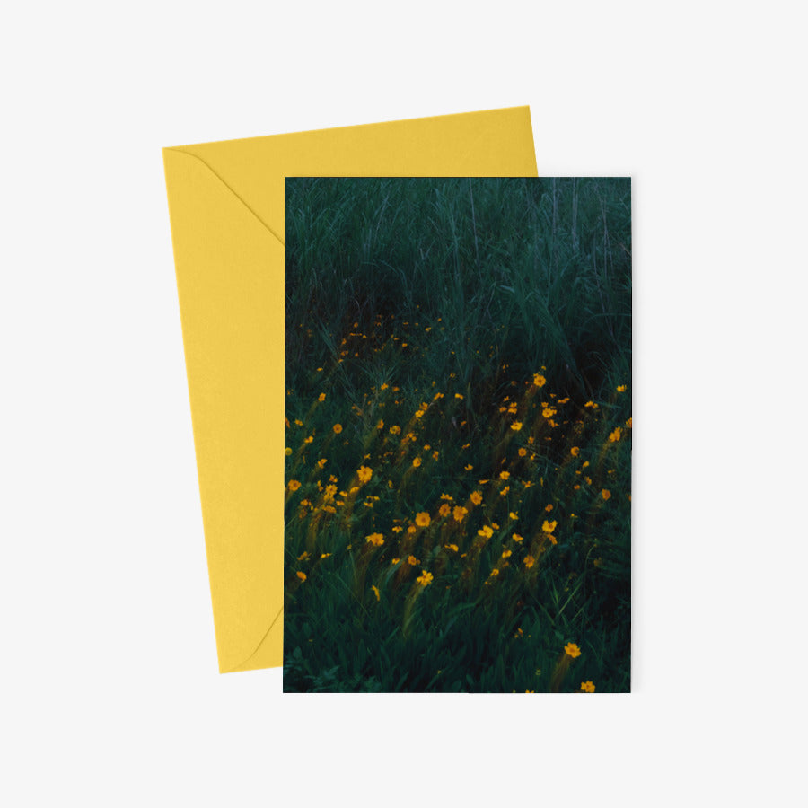 Kim Ji Neok - Flower Postcard & Envelope Set