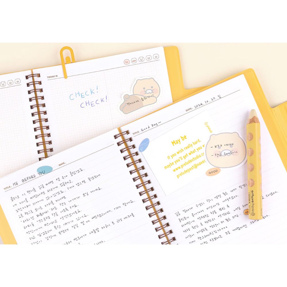 Kakao Friends - Choonsik Spring Year Diary