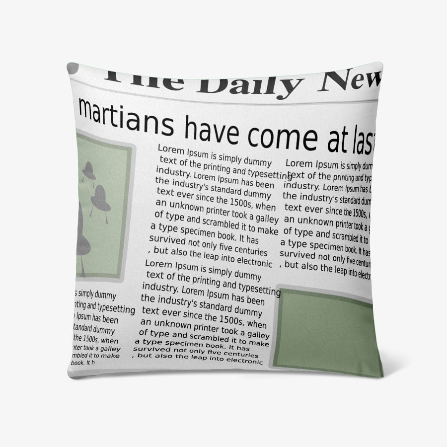 Shin Seung Wook - NEWSPAPER Velvet Soft Cushion