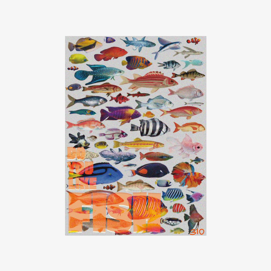 310 - Fish A3 Poster