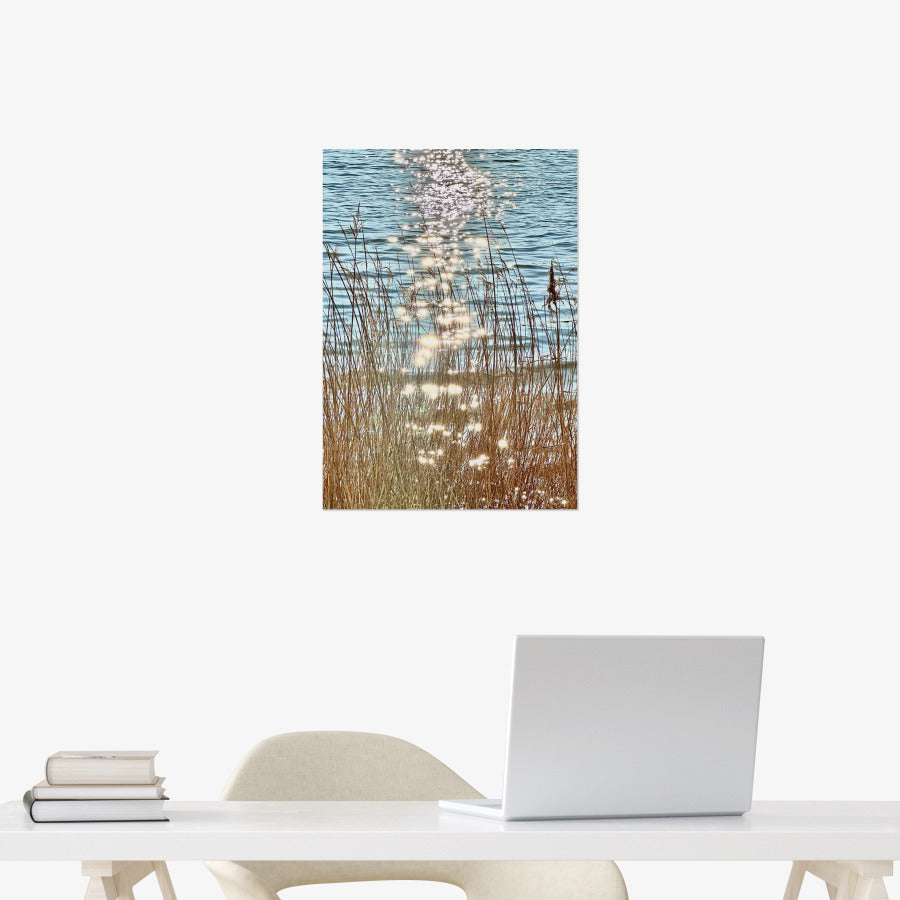 Ocean Garden - Twinkle Lake A3 Poster