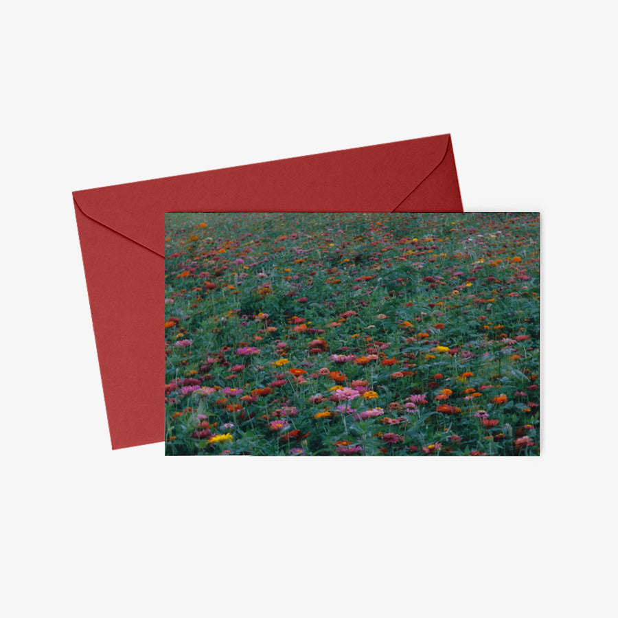 Kim Ji Neok - Field of Flowers Postcard & Envelope Set