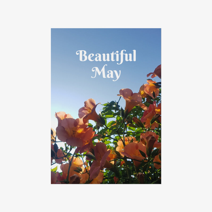 Like The Moon - Beautiful May A3 Poster