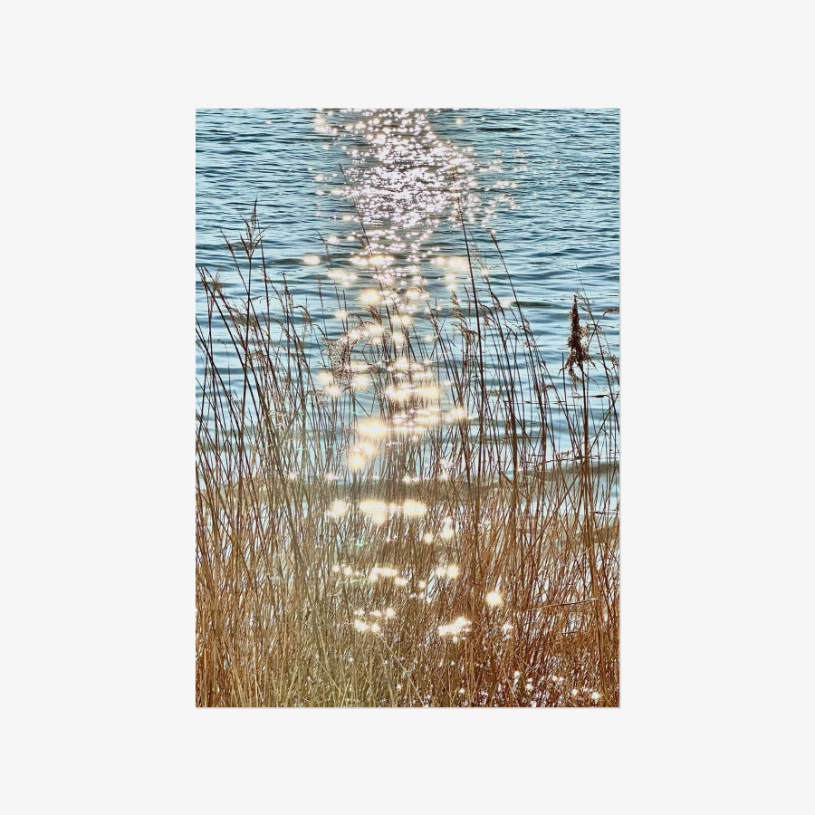 Ocean Garden - Twinkle Lake A3 Poster