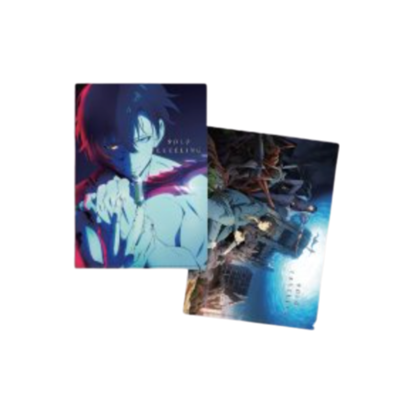 Solo Leveling Popup Store - Clear File Set