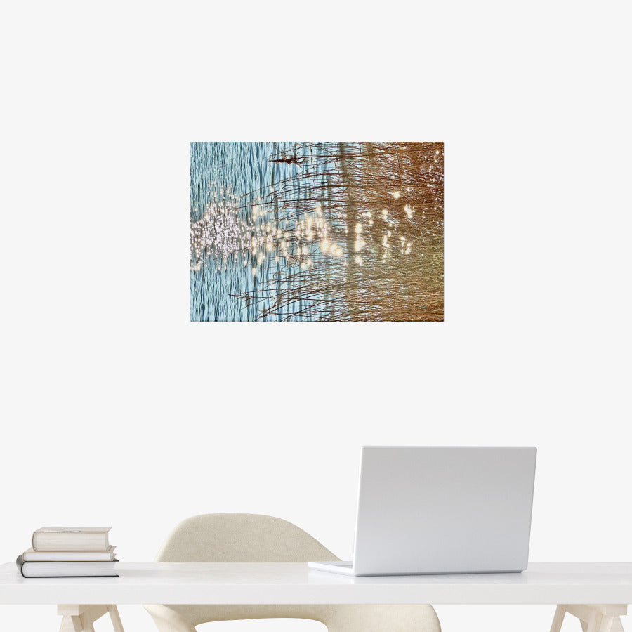 Ocean Garden - Twinkle Lake A3 Poster