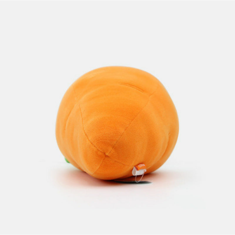 NARA HOME DECO x COZYN - Carrot Cushion