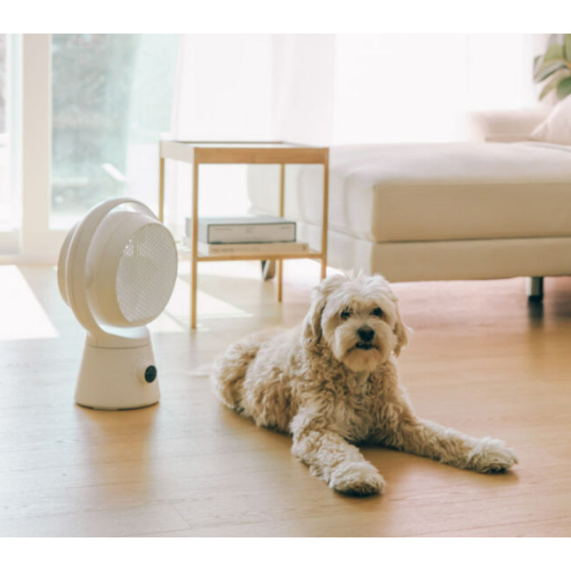 Wadiz x Coolean - Honeycomb Air Purifier Wireless Circulator