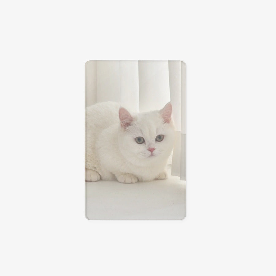 Melanger - Cutie Cat Vertical Photocard