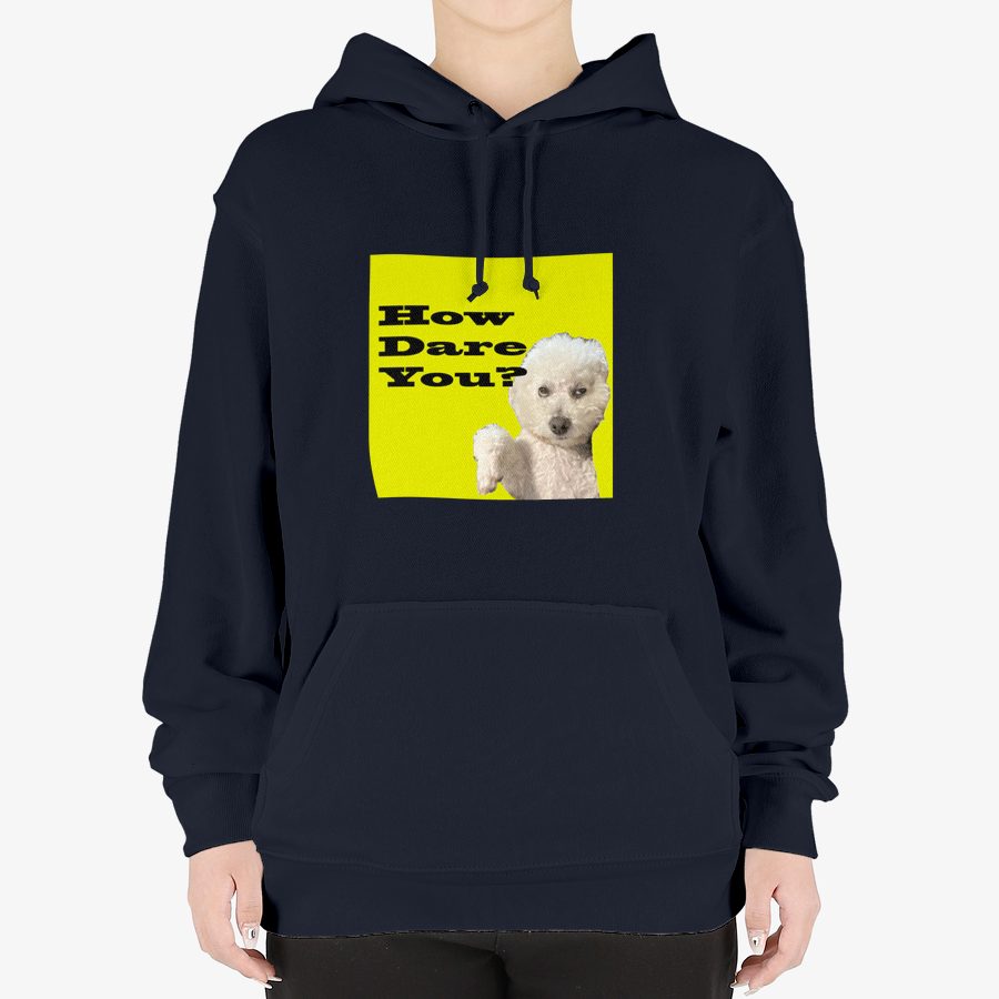 Useless Precious - How Dare You Hooded Sweatshirt