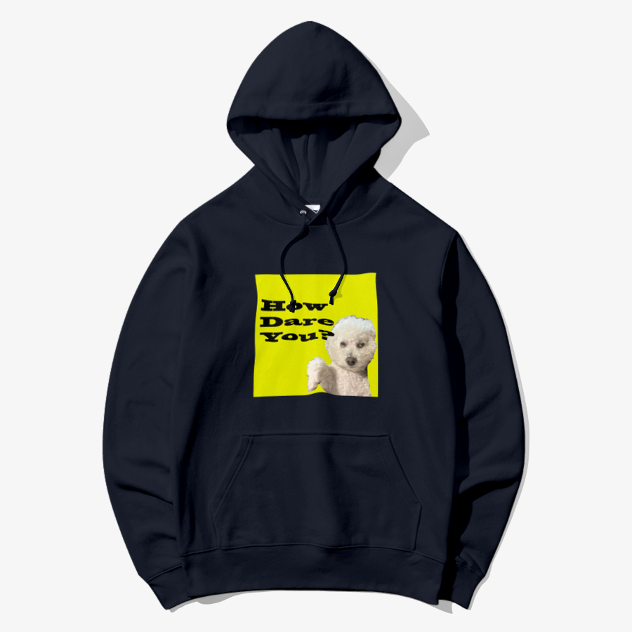 Useless Precious - How Dare You Hooded Sweatshirt