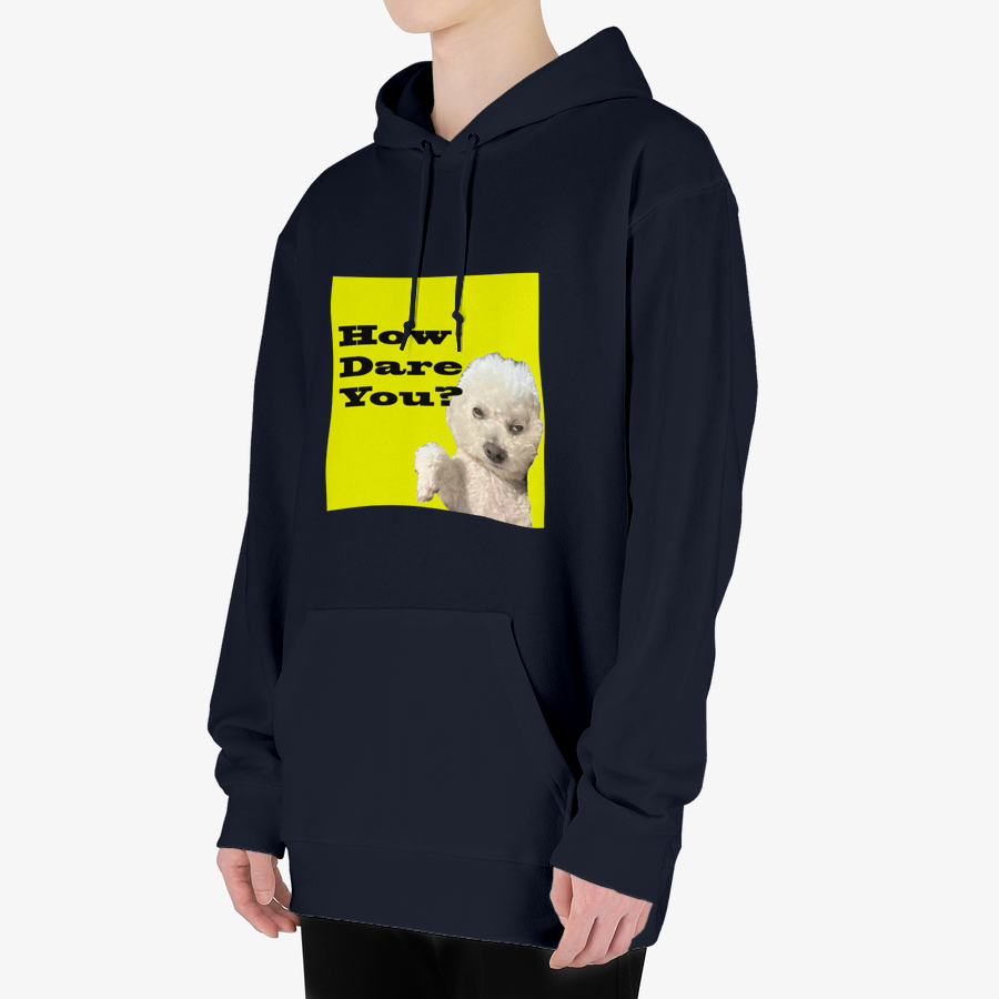 Useless Precious - How Dare You Hooded Sweatshirt