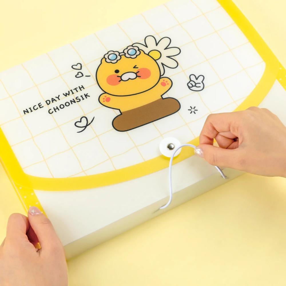 Kakao Friends - 12-Pocket Accordion File