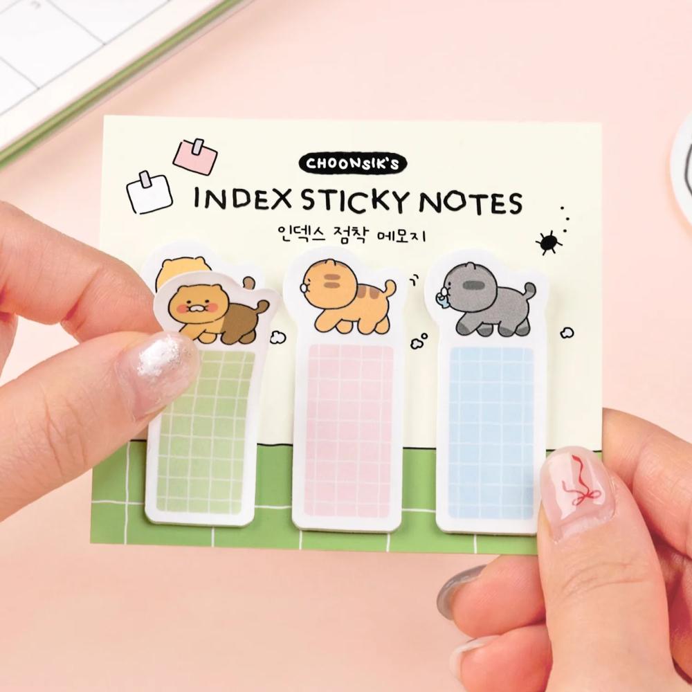 Kakao Friends - Choonsik Ordinary Index Sticky Notes