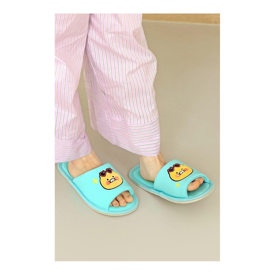 Kakao Friends - Choonsik Cooling Slippers