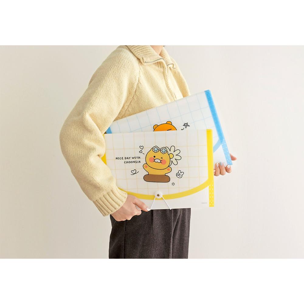 Kakao Friends - 12-Pocket Accordion File