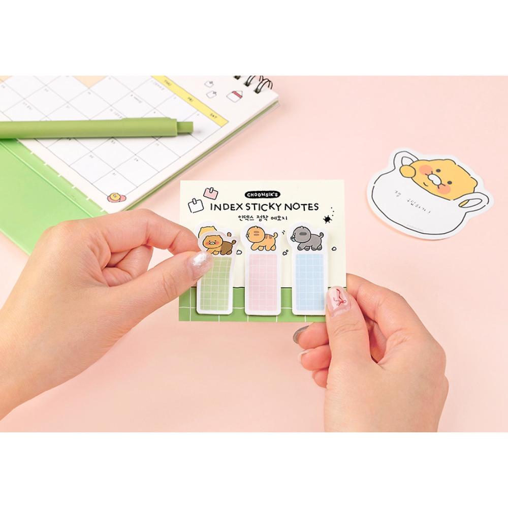 Kakao Friends - Choonsik Ordinary Index Sticky Notes