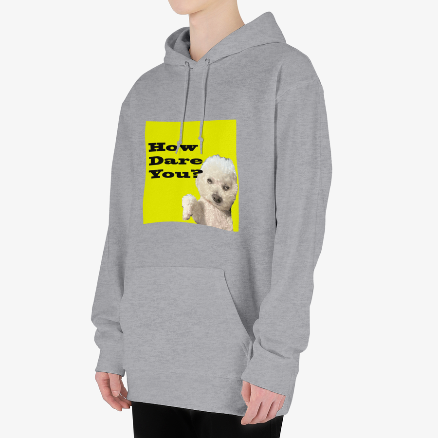 Useless Precious - How Dare You Hooded Sweatshirt