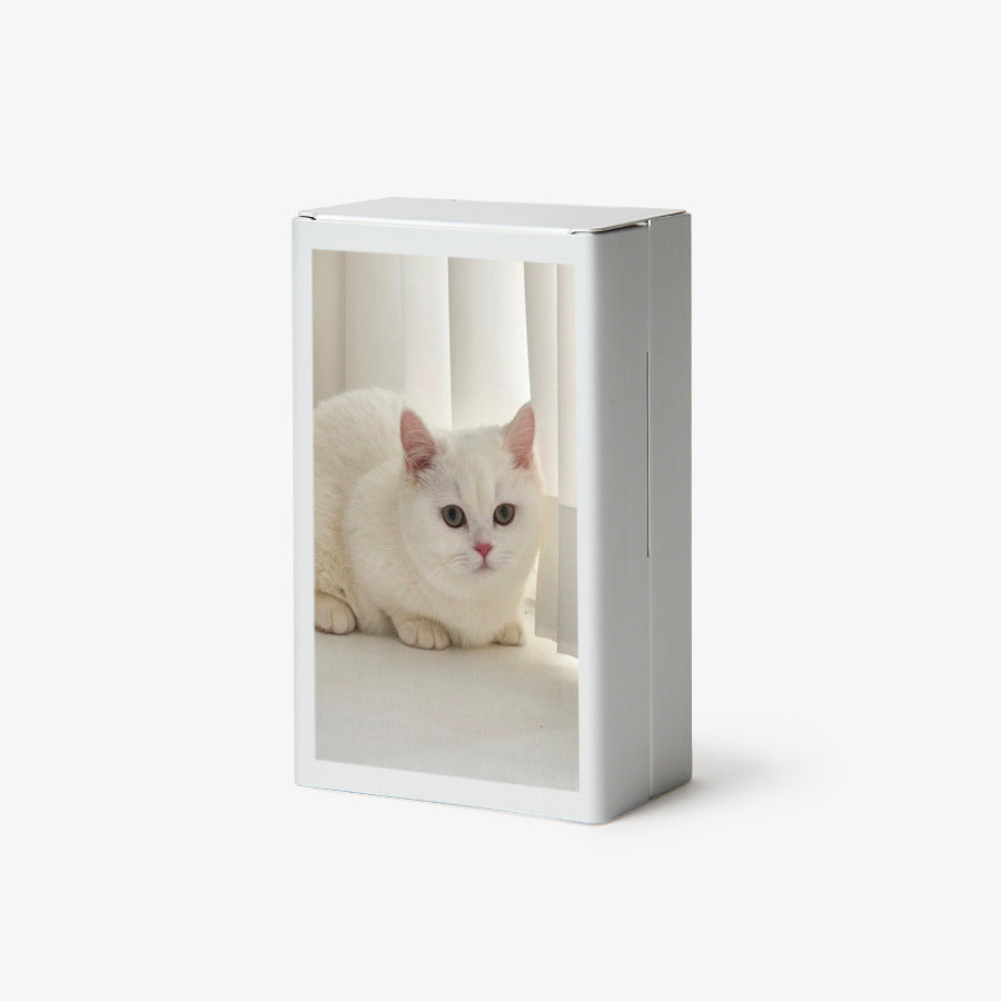 Melanger - Cutie Cat Sliding Tin Case