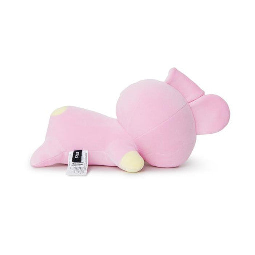 BT21 - Baby Soft Mini Pillow Cushion