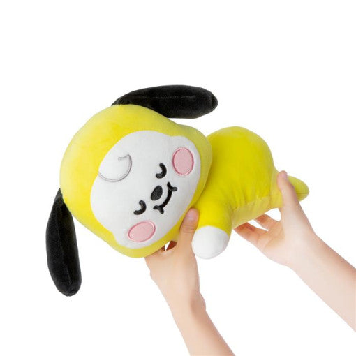 BT21 - Baby Soft Mini Pillow Cushion