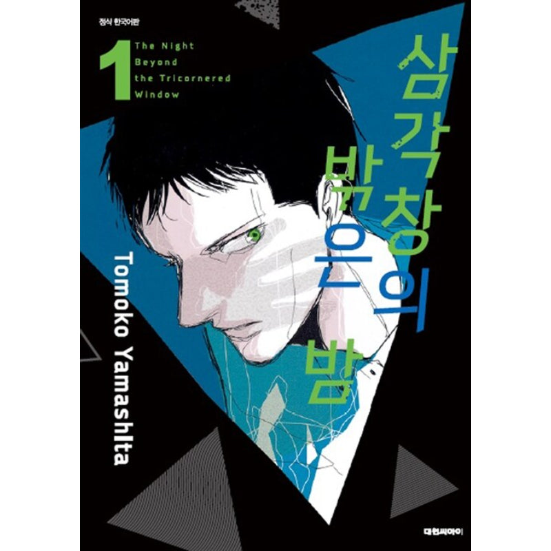 The Night Beyond The Tricornered Window - Manhwa