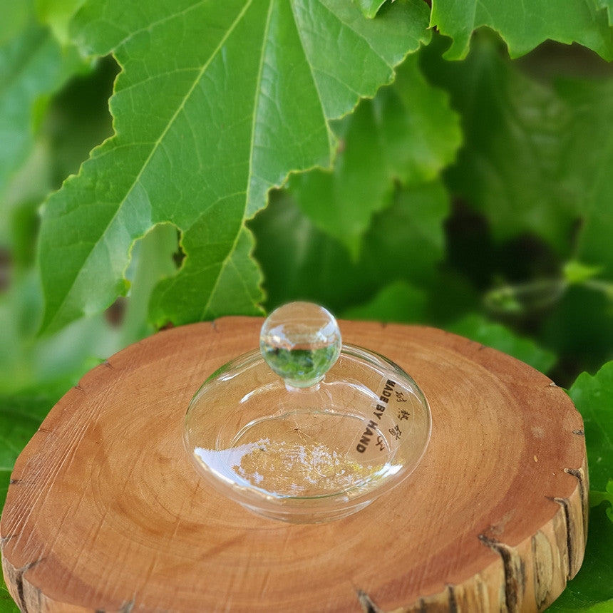 Bosan Pottery - Glass Tube Round Teapot with Sieve