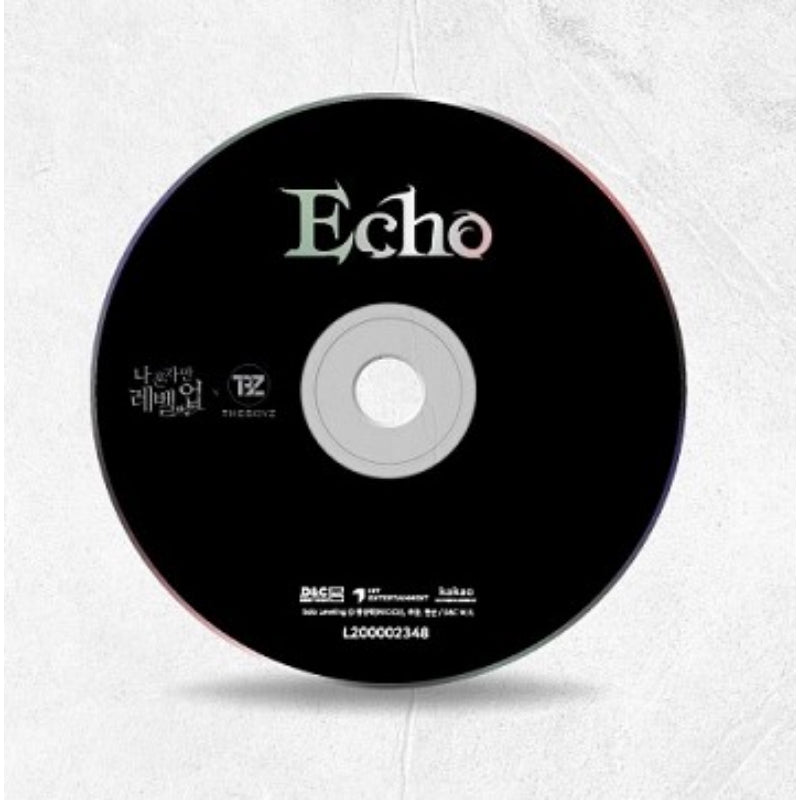 The Boyz x Only I Level Up Webtoon - Echo - OST