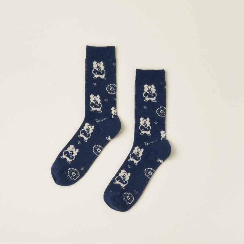 Dinotaeng - Nordic Socks Package Set