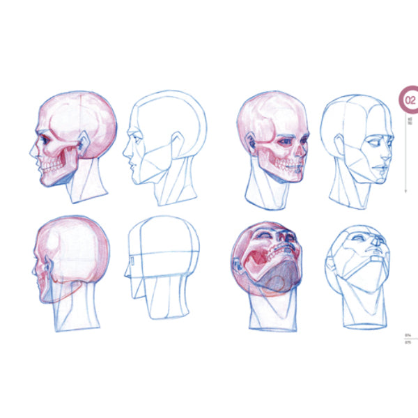 SALE - RockHe Kim's Anatomy Drawing Class