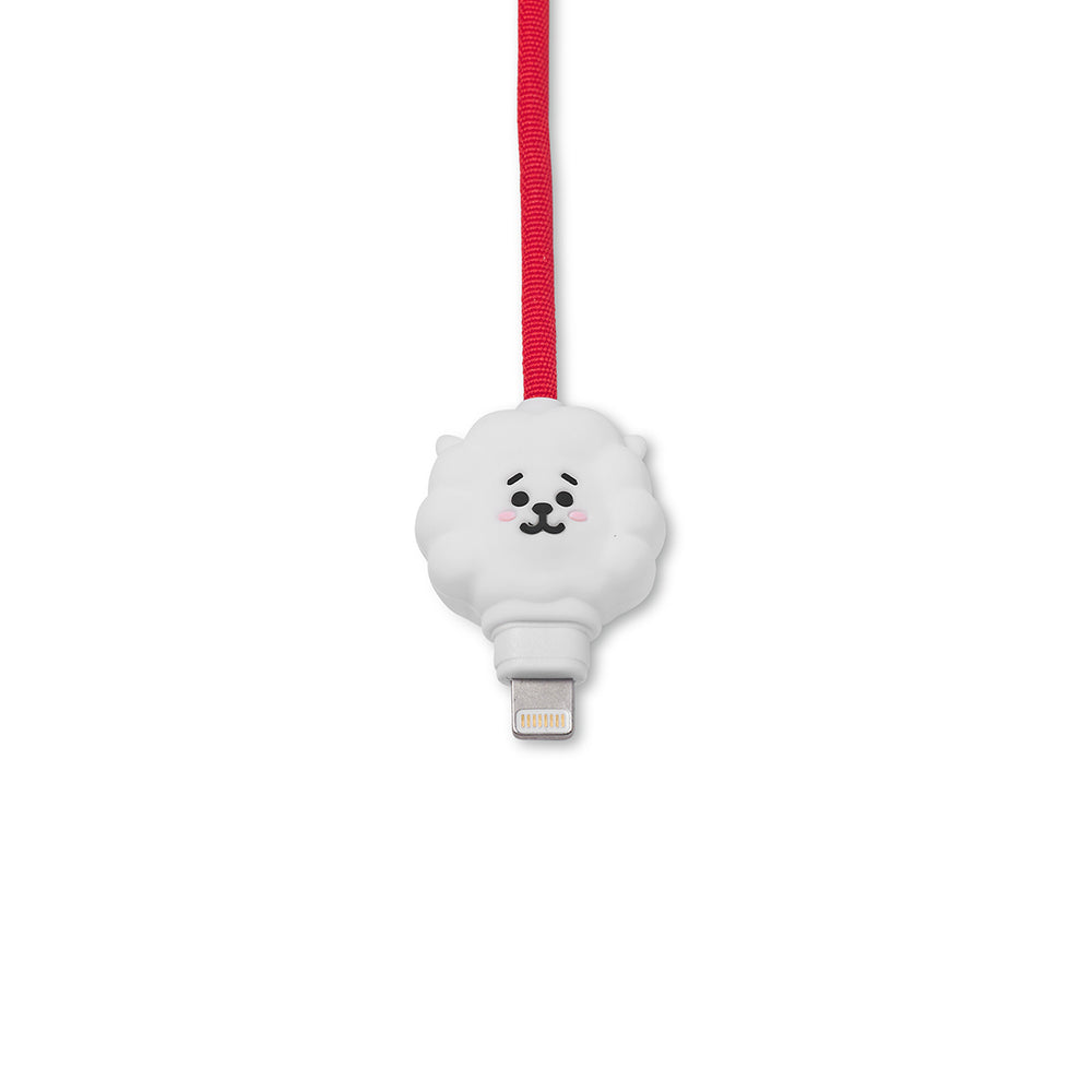 BT21 - Charge / Sync Cable