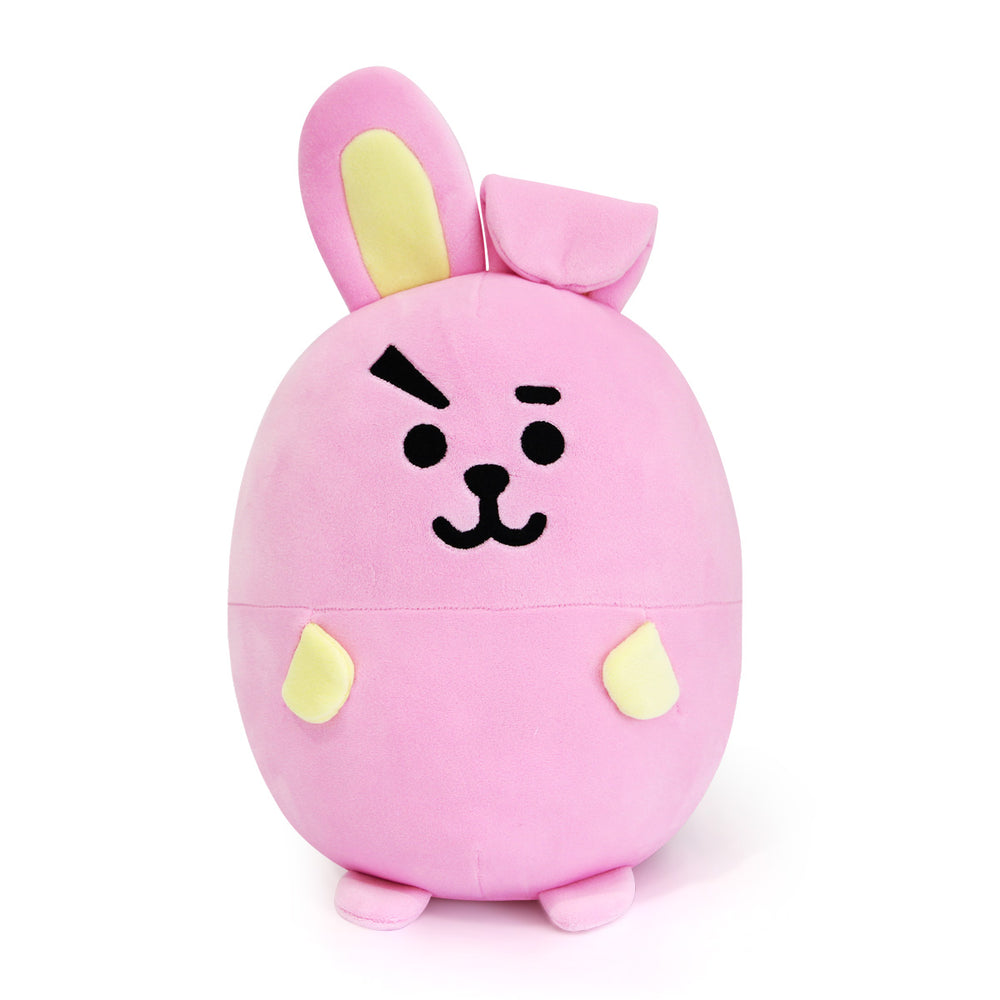 BT21 - Egg Pillow Cushion