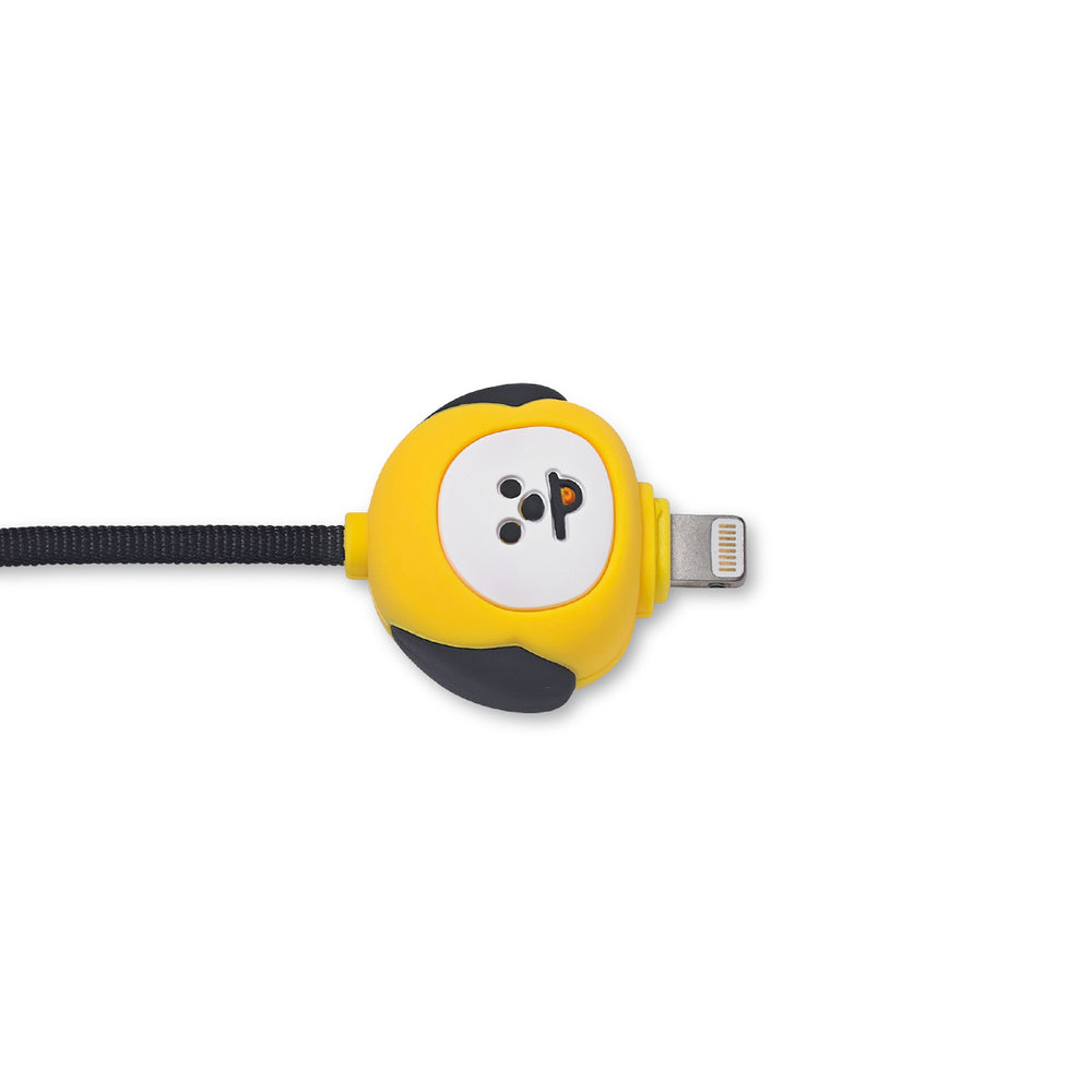 BT21 - Charge / Sync Cable