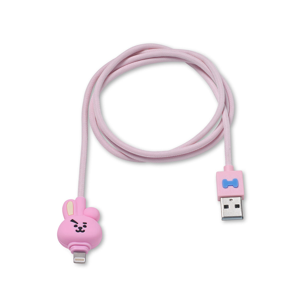 BT21 - Charge / Sync Cable