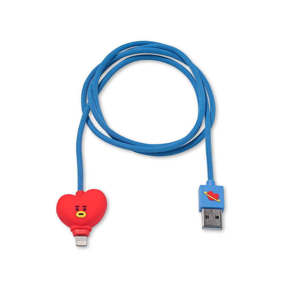 BT21 - Charge / Sync Cable