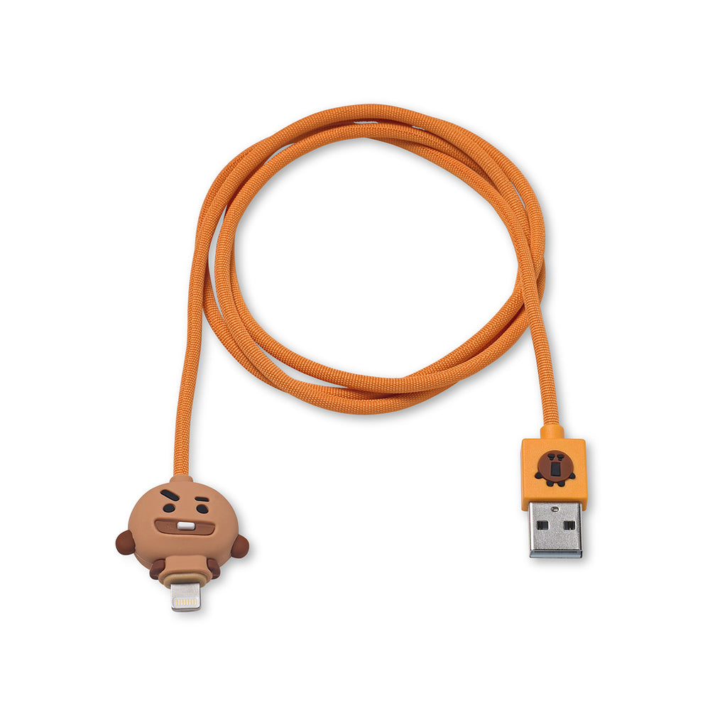 BT21 - Charge / Sync Cable