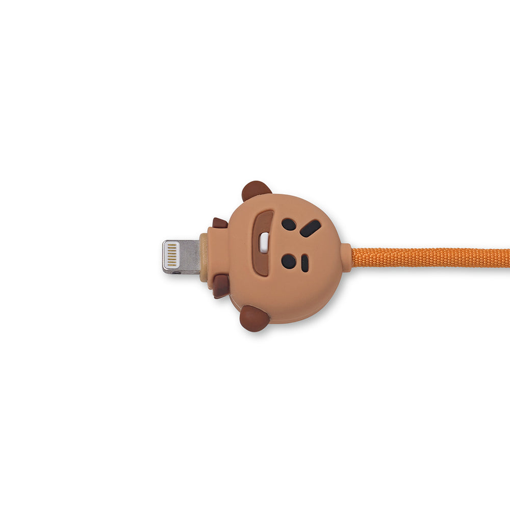 BT21 - Charge / Sync Cable