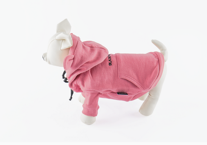 BlackPink - In Your Area Pet Hoodie